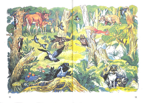 Primer. Libro di testo per la prima elementare